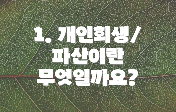 1. 개인회생/파산이란 무엇일까요?