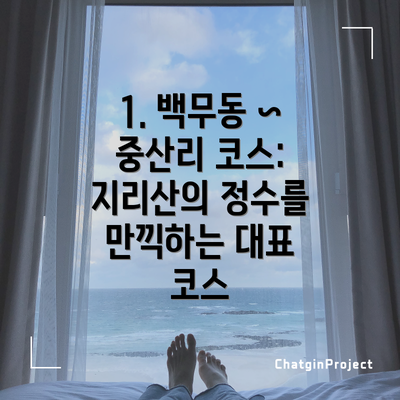 1. 백무동 ~ 중산리 코스: 지리산의 정수를 만끽하는 대표 코스