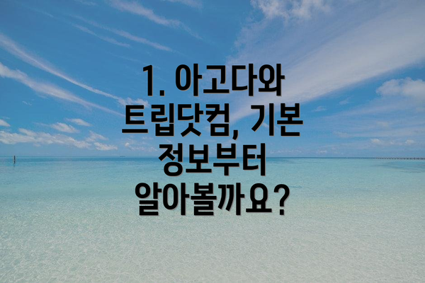 1. 아고다와 트립닷컴, 기본 정보부터 알아볼까요?