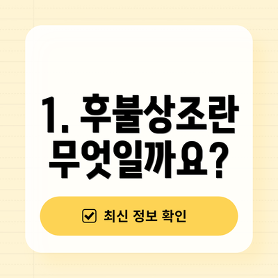 1. 후불상조란 무엇일까요?