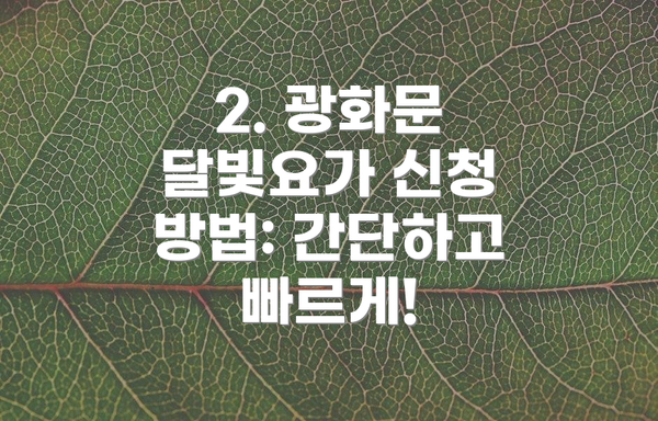 2. 광화문 달빛요가 신청 방법: 간단하고 빠르게!