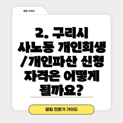 2. 구리시 사노동 개인회생/개인파산 신청 자격은 어떻게 될까요?