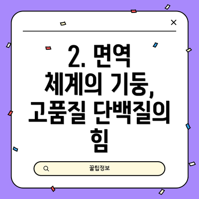 2. 면역 체계의 기둥, 고품질 단백질의 힘