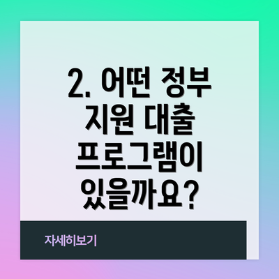 2. 어떤 정부 지원 대출 프로그램이 있을까요?