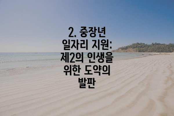 2. 중장년 일자리 지원: 제2의 인생을 위한 도약의 발판