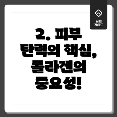 2. 피부 탄력의 핵심, 콜라겐의 중요성!
