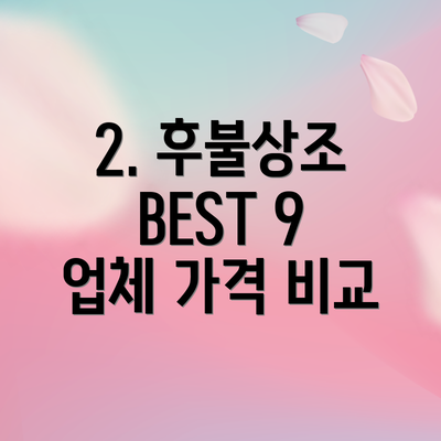 2. 후불상조 BEST 9 업체 가격 비교