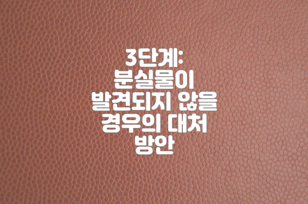 3단계:  분실물이 발견되지 않을 경우의 대처 방안
