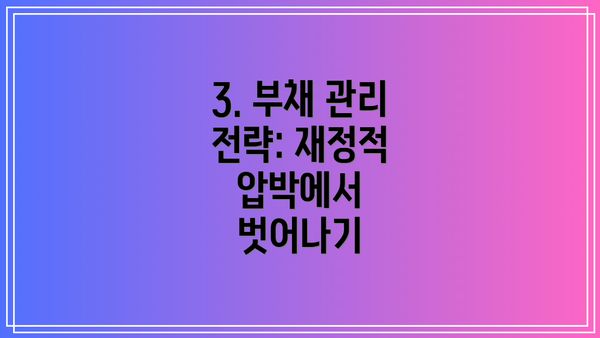 3. 부채 관리 전략: 재정적 압박에서 벗어나기