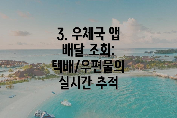 3. 우체국 앱 배달 조회: 택배/우편물의 실시간 추적