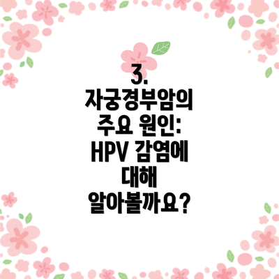 3. 자궁경부암의 주요 원인: HPV 감염에 대해 알아볼까요?