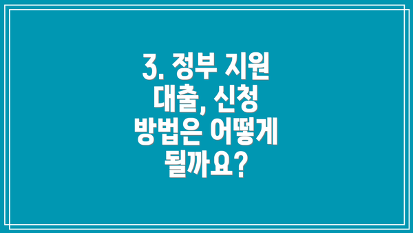 3. 정부 지원 대출, 신청 방법은 어떻게 될까요?