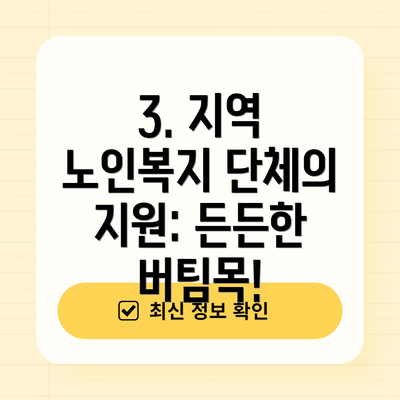 3. 지역 노인복지 단체의 지원: 든든한 버팀목!