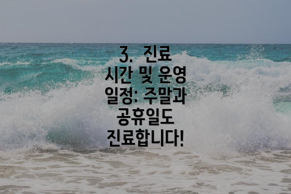 3.  진료 시간 및 운영 일정: 주말과 공휴일도 진료합니다!