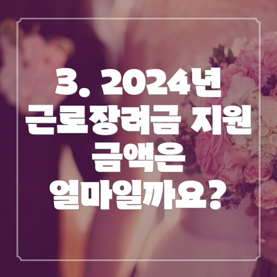 3. 2024년 근로장려금 지원 금액은 얼마일까요?