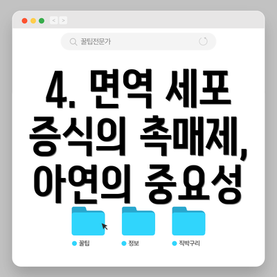 4. 면역 세포 증식의 촉매제, 아연의 중요성