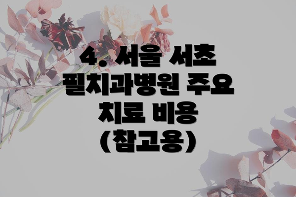 4. 서울 서초 필치과병원 주요 치료 비용 (참고용)