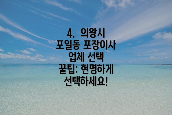 4.  의왕시 포일동 포장이사 업체 선택 꿀팁: 현명하게 선택하세요!
