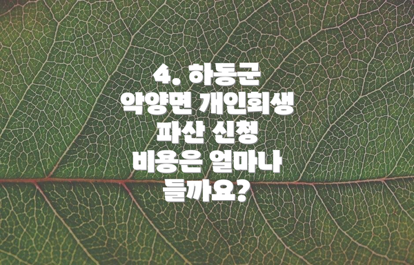4. 하동군 악양면 개인회생 파산 신청 비용은 얼마나 들까요?