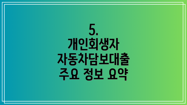5.  개인회생자 자동차담보대출 주요 정보 요약