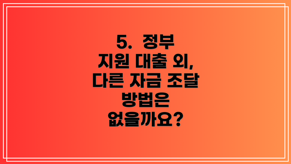5.  정부 지원 대출 외, 다른 자금 조달 방법은 없을까요?
