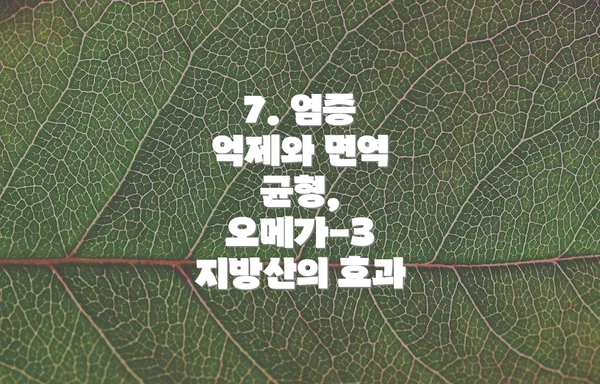 7. 염증 억제와 면역 균형, 오메가-3 지방산의 효과