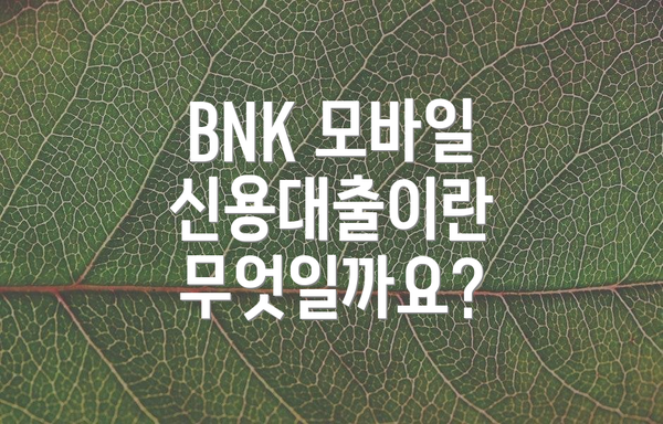 BNK 모바일 신용대출이란 무엇일까요?